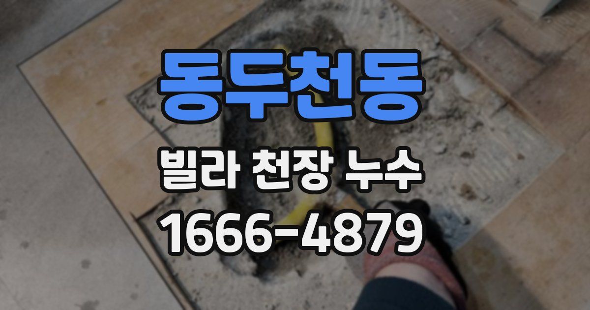 동두천동 빌라 천장 누수
