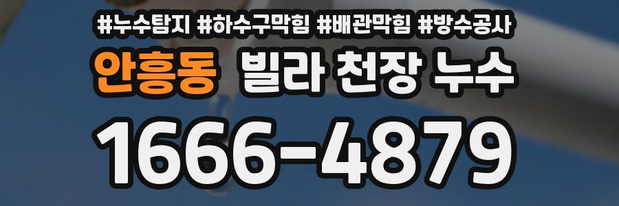 안흥동 빌라 천장 누수