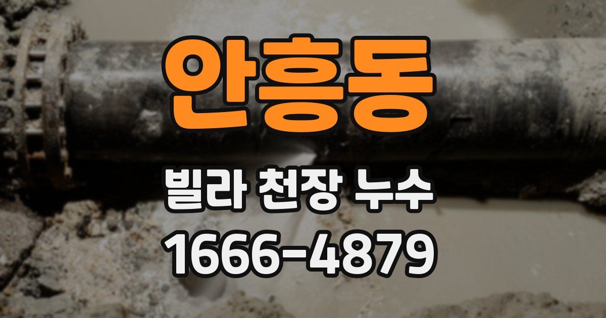 안흥동 빌라 천장 누수