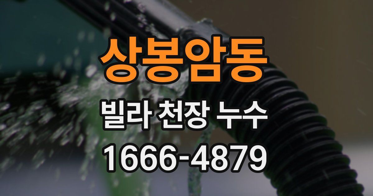 상봉암동 빌라 천장 누수