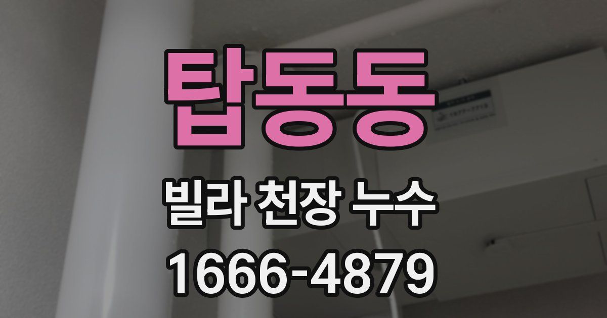 탑동동 빌라 천장 누수