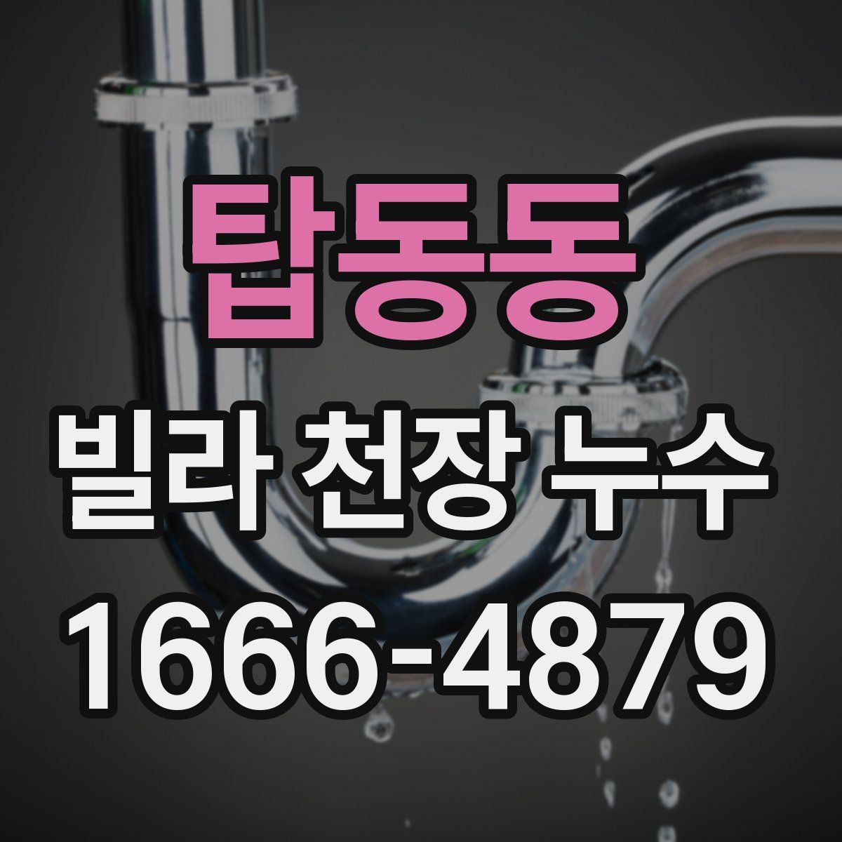 탑동동 빌라 천장 누수