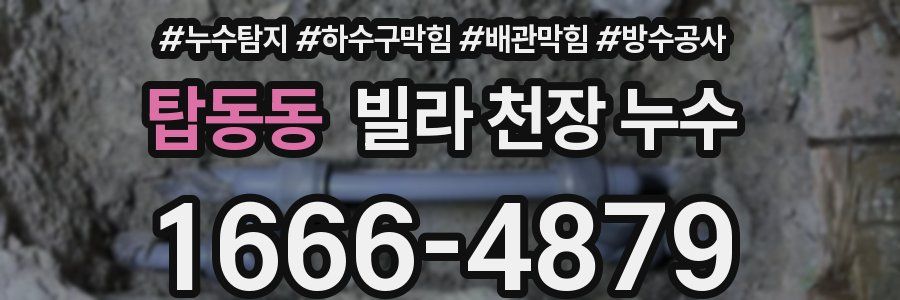 탑동동 빌라 천장 누수