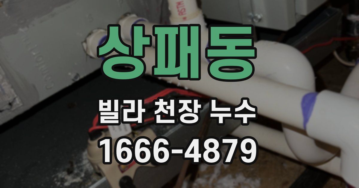 상패동 빌라 천장 누수