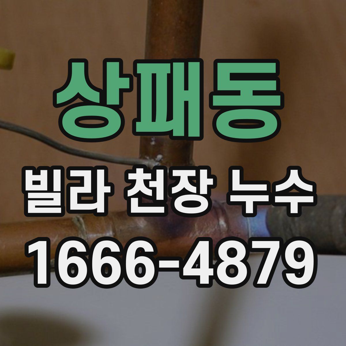상패동 빌라 천장 누수