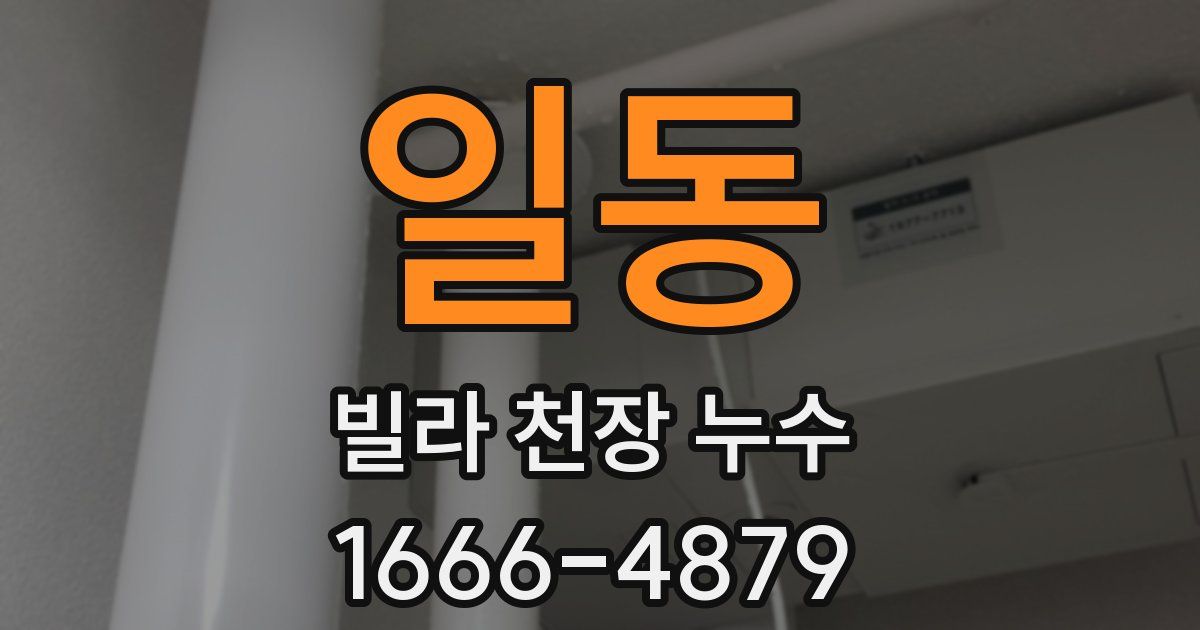 일동 빌라 천장 누수