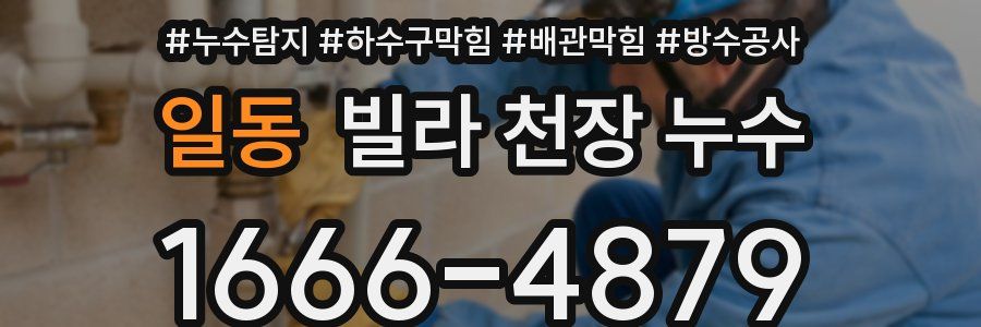 일동 빌라 천장 누수