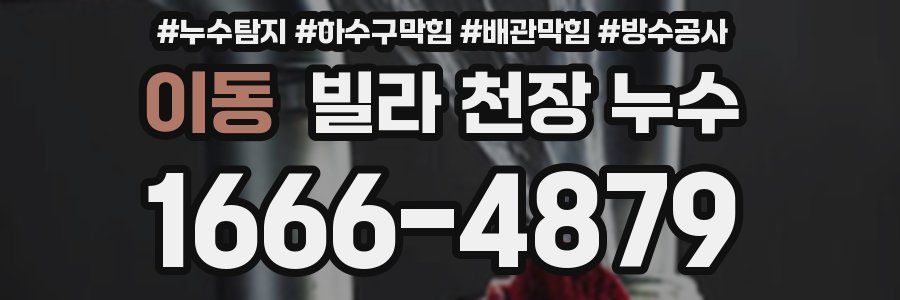 이동 빌라 천장 누수