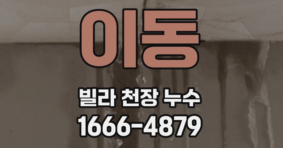 이동 빌라 천장 누수