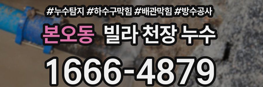 본오동 빌라 천장 누수