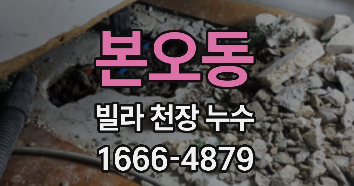 본오동 빌라 천장 누수