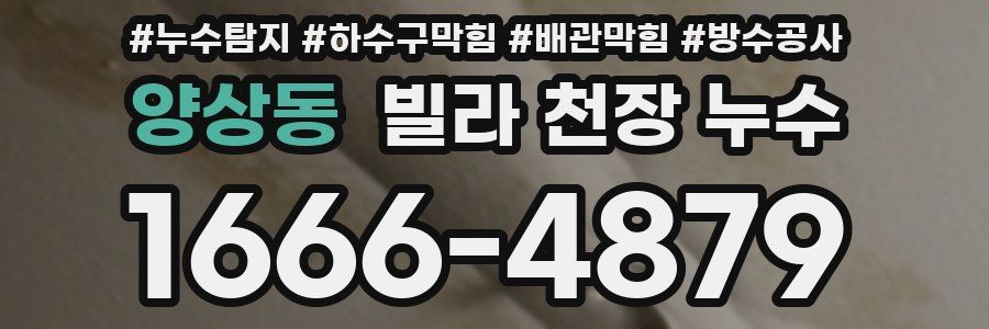 양상동 빌라 천장 누수