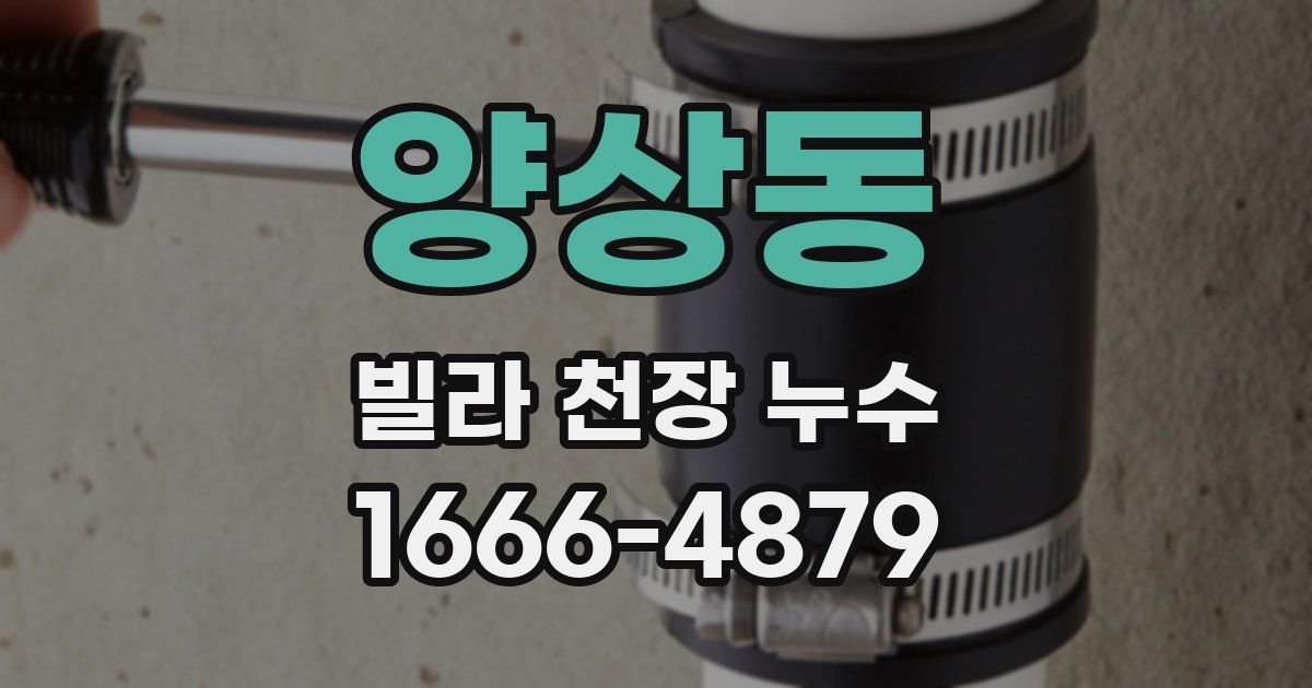 양상동 빌라 천장 누수