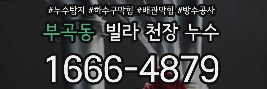 부곡동 빌라 천장 누수