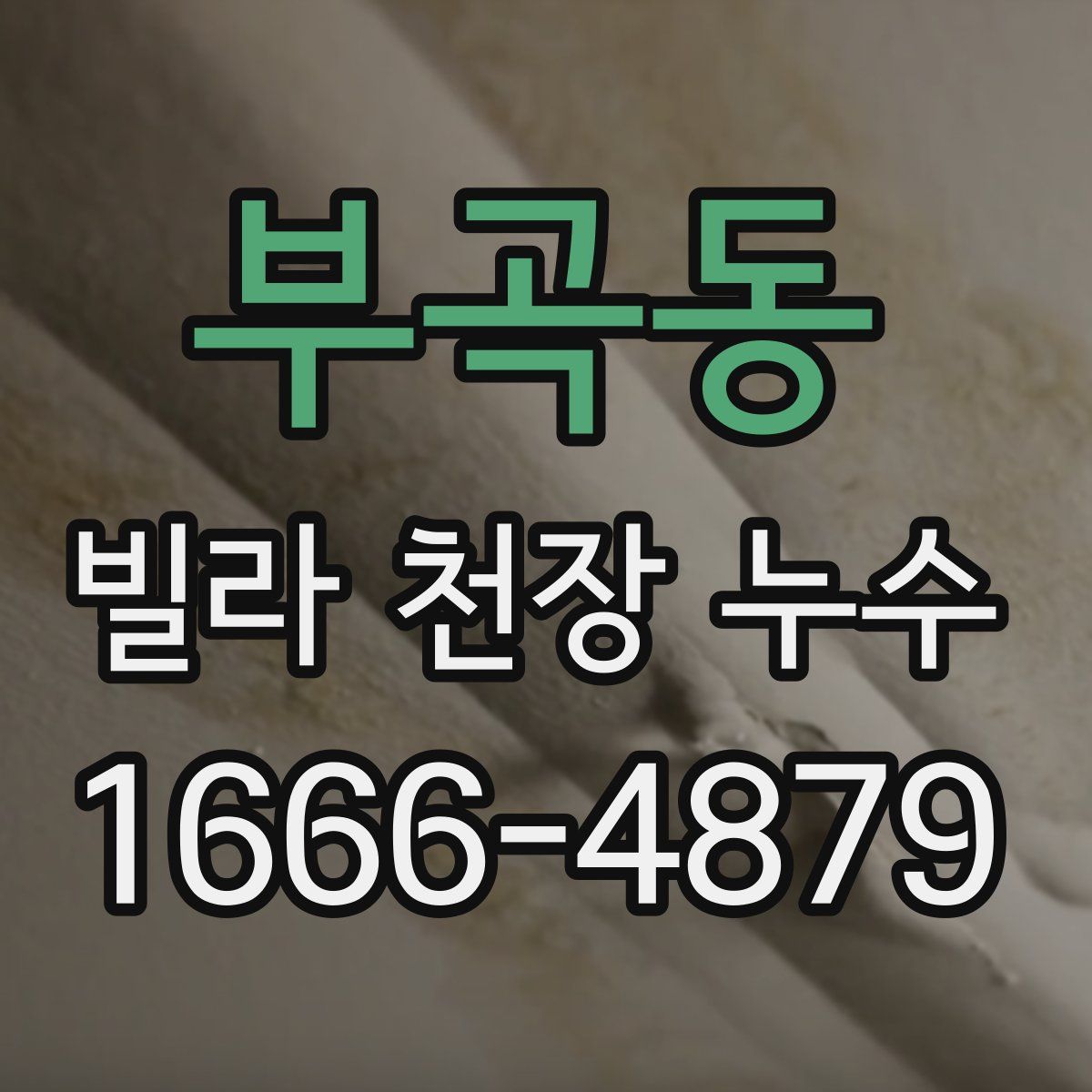 부곡동 빌라 천장 누수