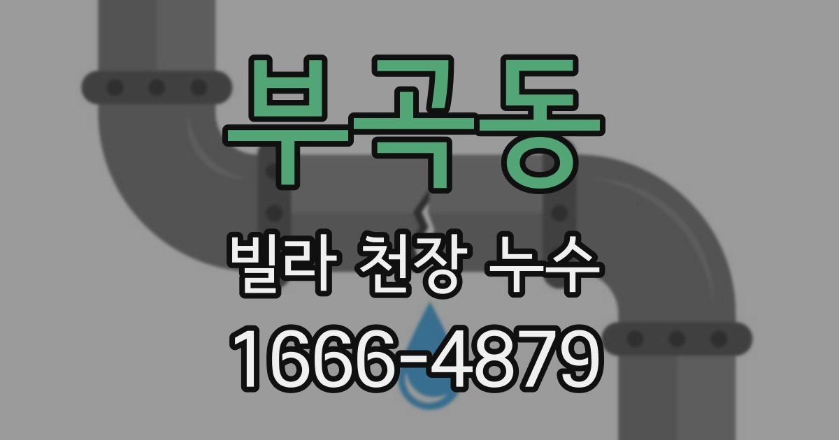 부곡동 빌라 천장 누수