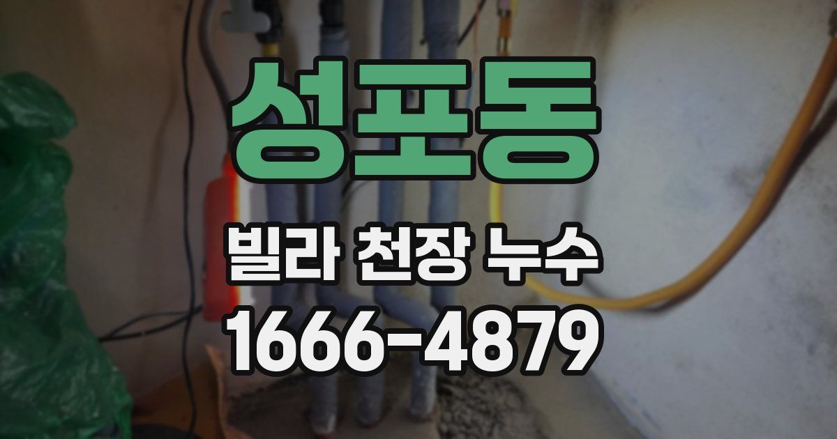 성포동 빌라 천장 누수