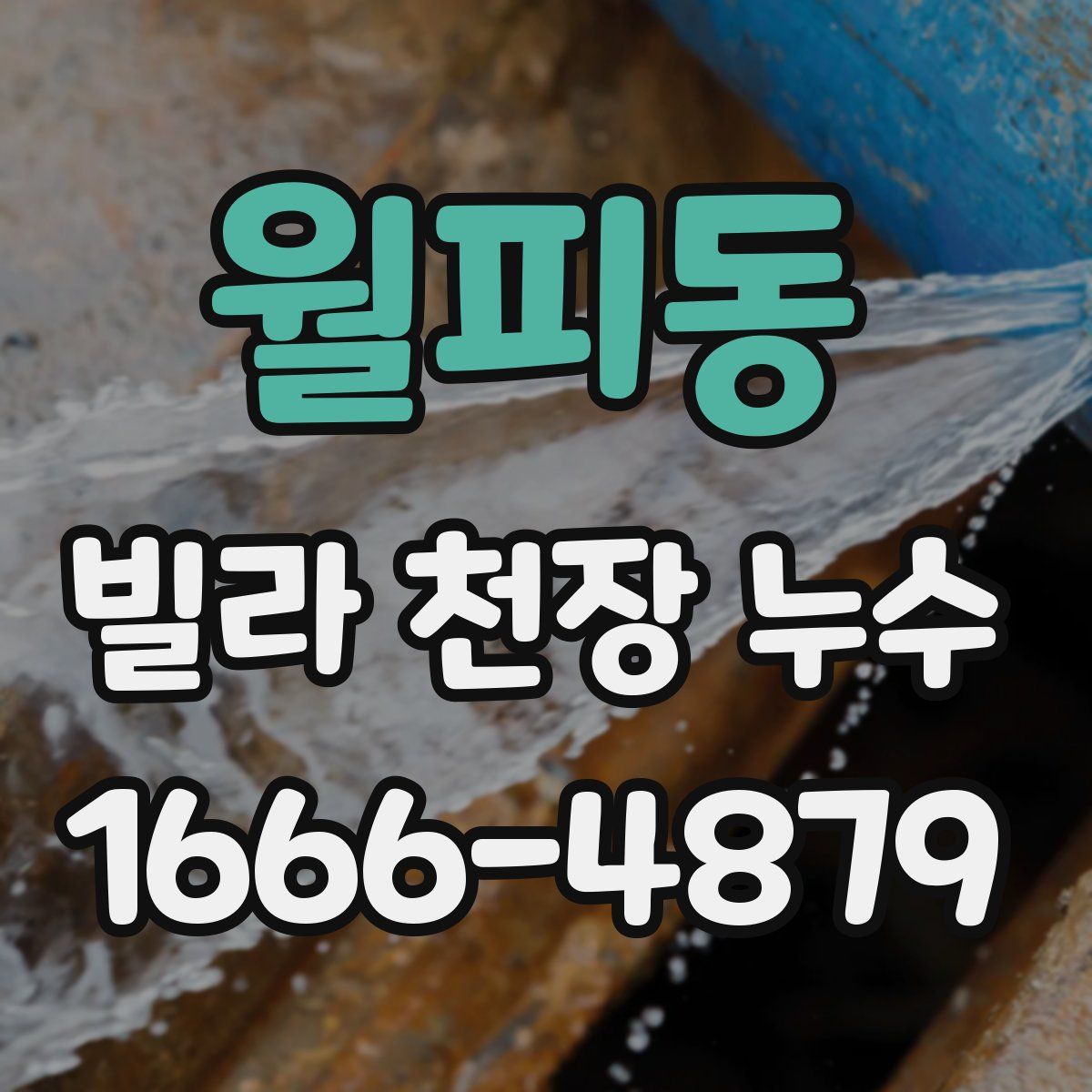 월피동 빌라 천장 누수