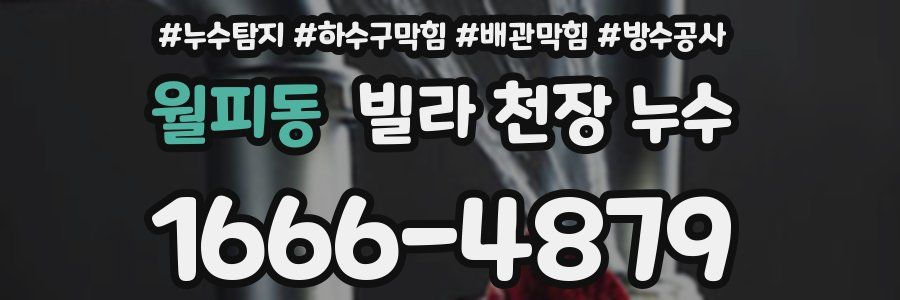 월피동 빌라 천장 누수
