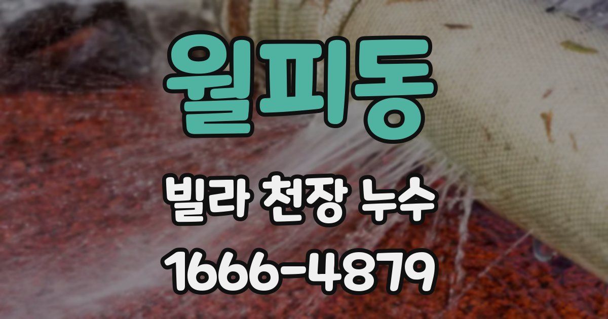 월피동 빌라 천장 누수