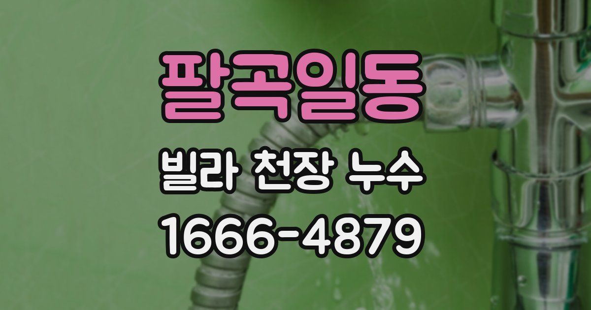 팔곡일동 빌라 천장 누수