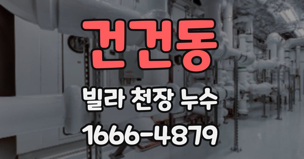 건건동 빌라 천장 누수
