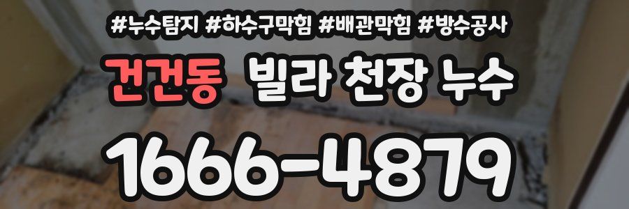 건건동 빌라 천장 누수