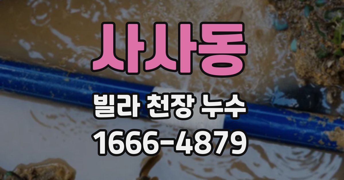 사사동 빌라 천장 누수
