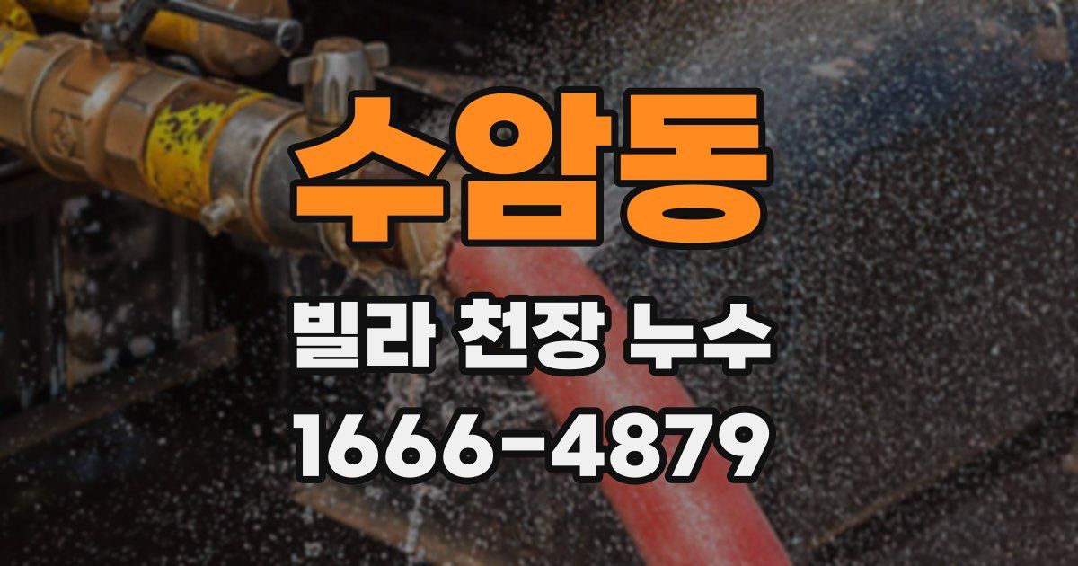 수암동 빌라 천장 누수