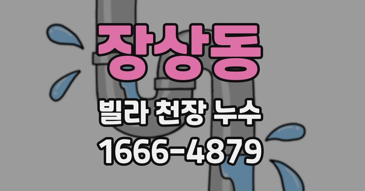장상동 빌라 천장 누수
