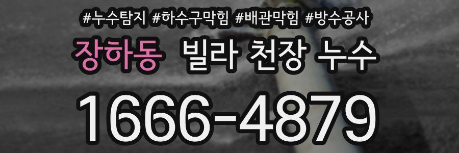장하동 빌라 천장 누수