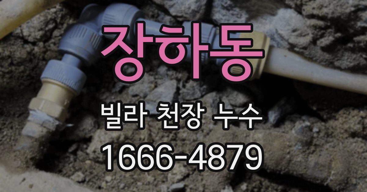 장하동 빌라 천장 누수