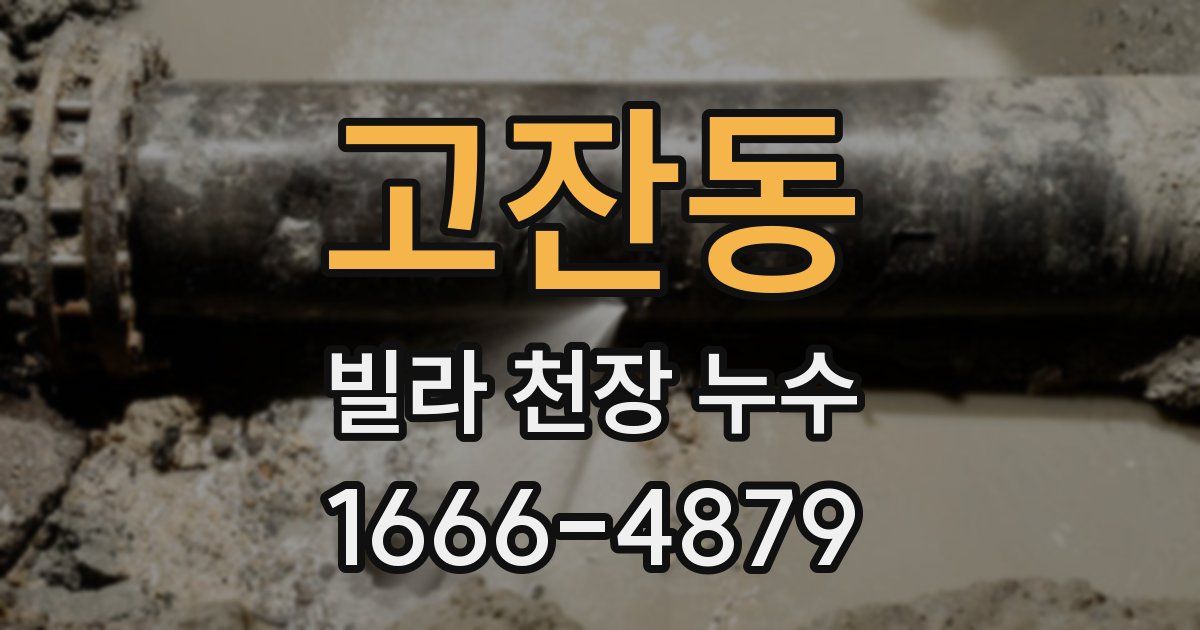 고잔동 빌라 천장 누수