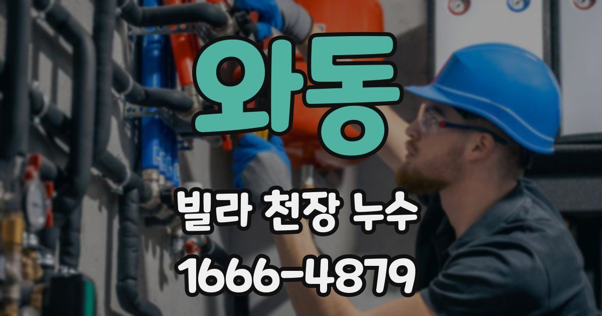 와동 빌라 천장 누수