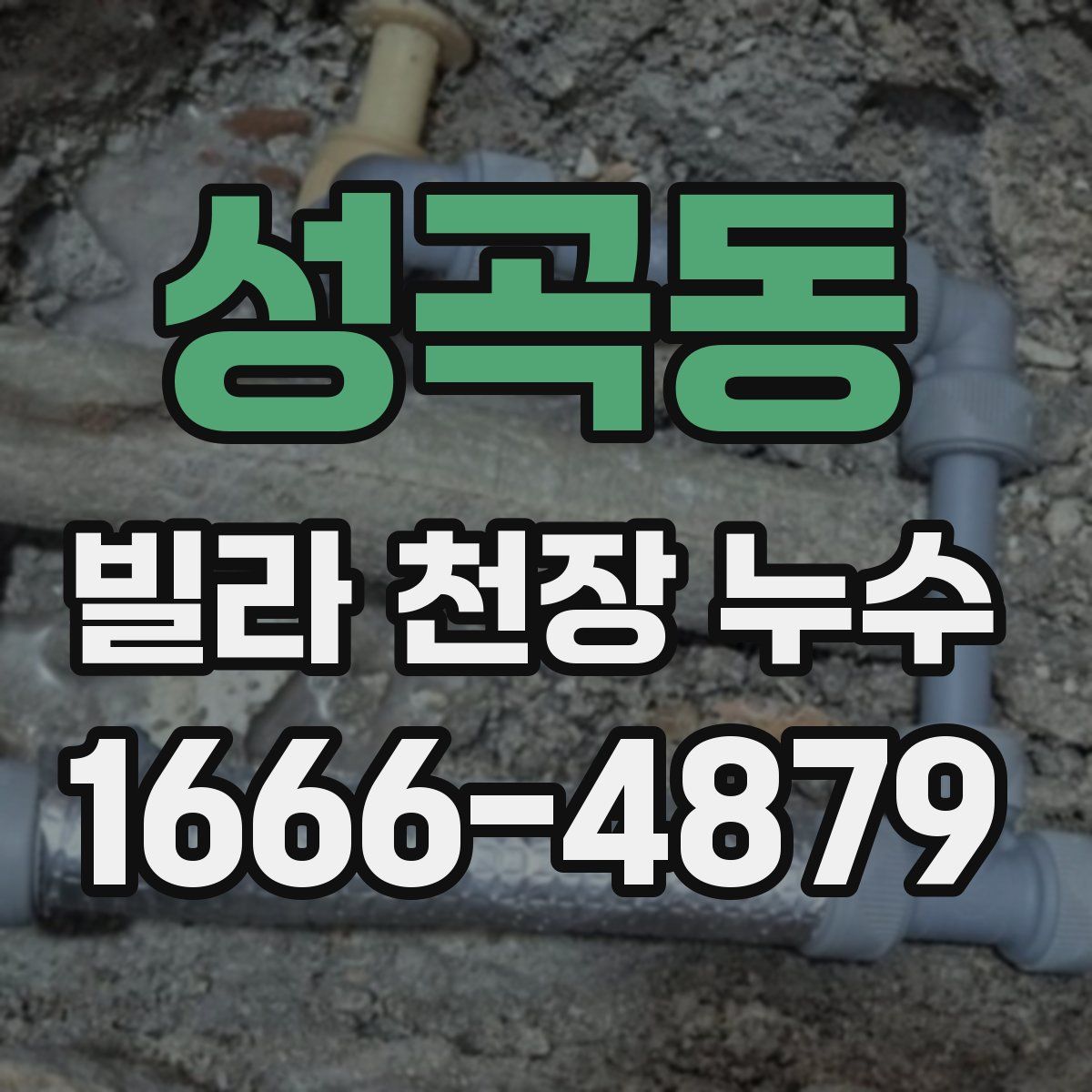 성곡동 빌라 천장 누수