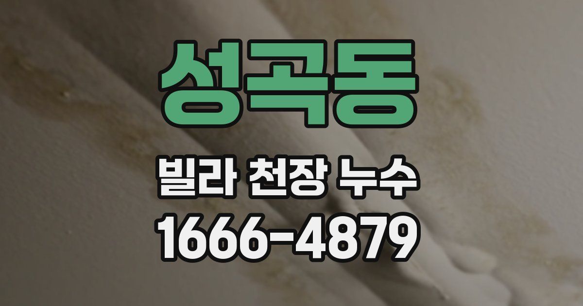 성곡동 빌라 천장 누수