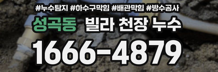 성곡동 빌라 천장 누수