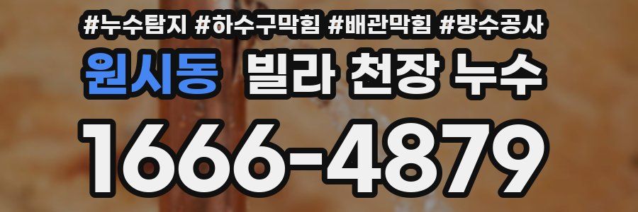 원시동 빌라 천장 누수