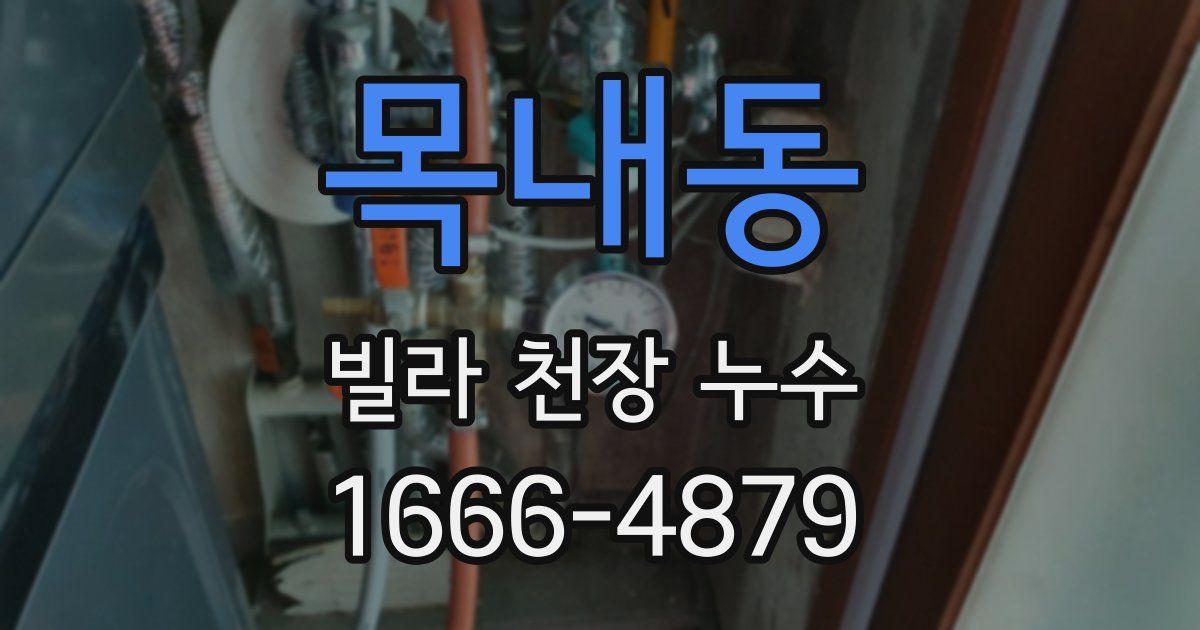 목내동 빌라 천장 누수