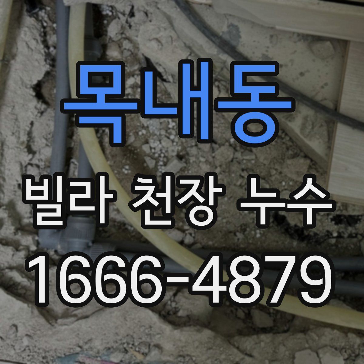 목내동 빌라 천장 누수