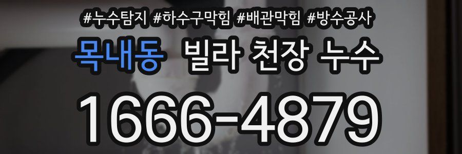 목내동 빌라 천장 누수