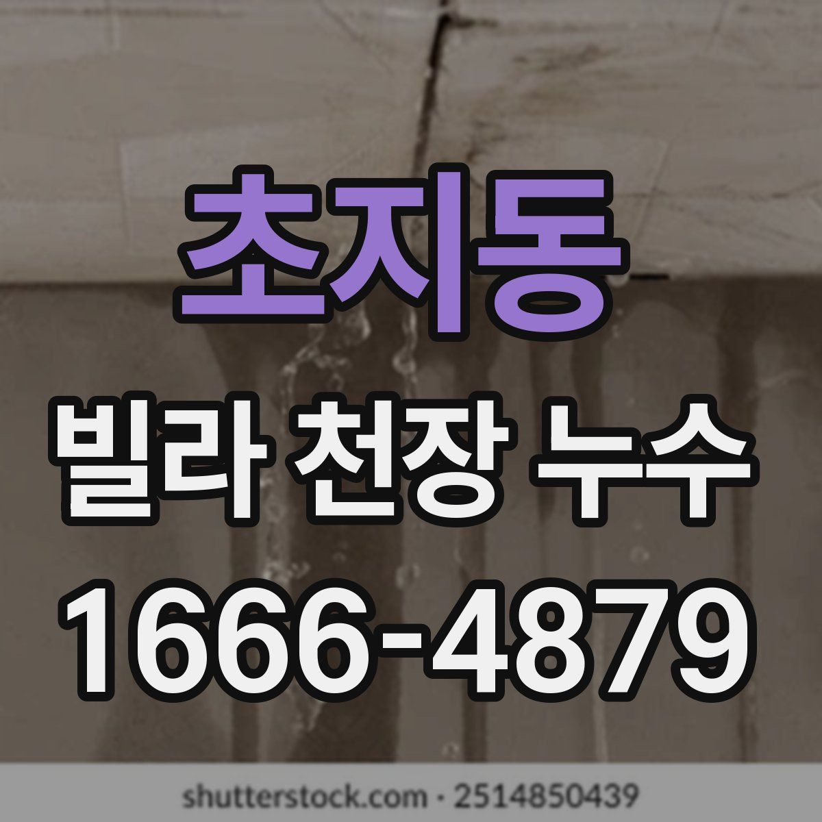 초지동 빌라 천장 누수