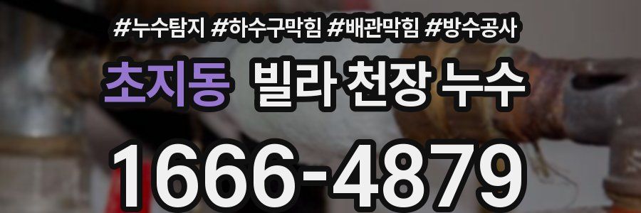 초지동 빌라 천장 누수