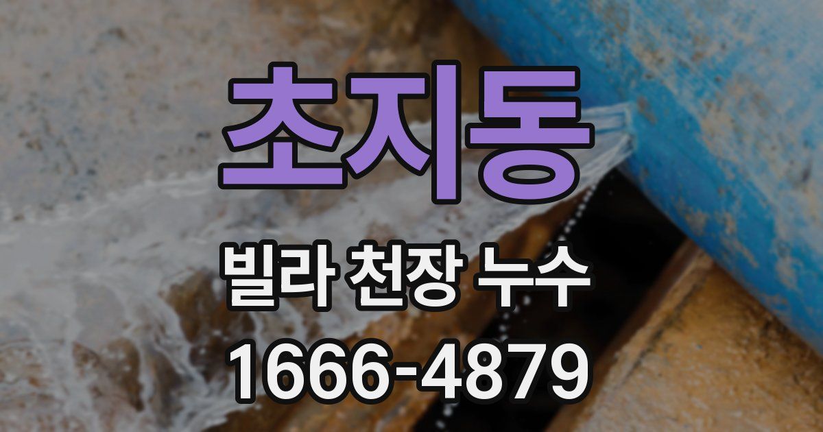 초지동 빌라 천장 누수