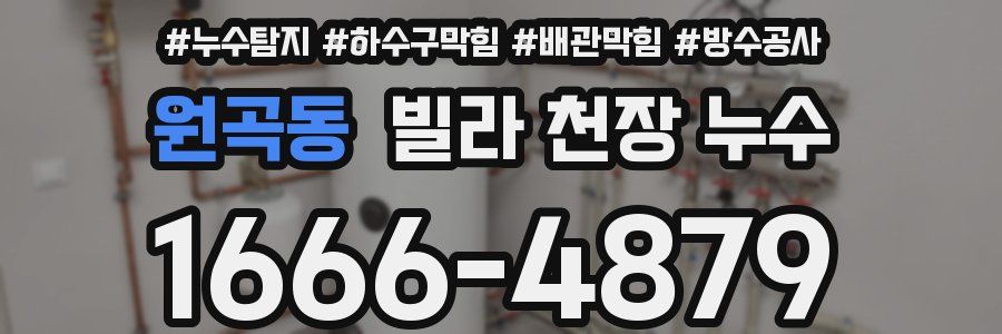 원곡동 빌라 천장 누수