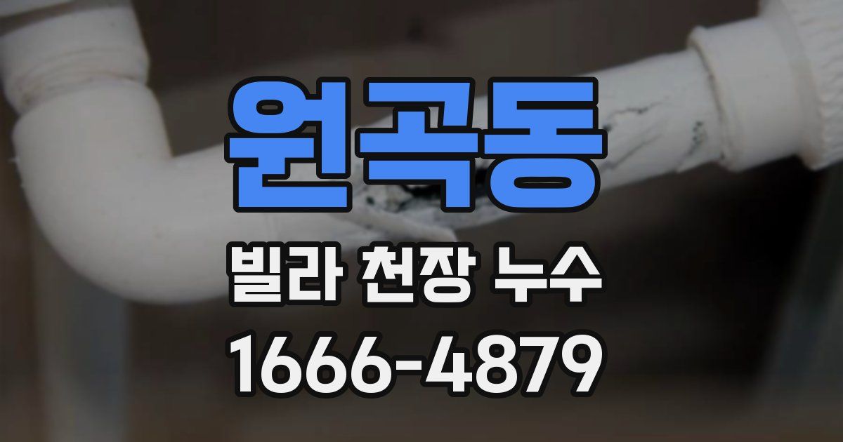 원곡동 빌라 천장 누수