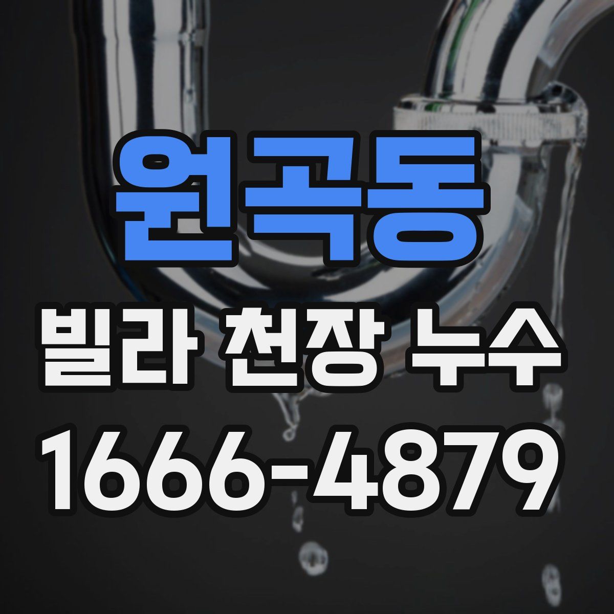 원곡동 빌라 천장 누수