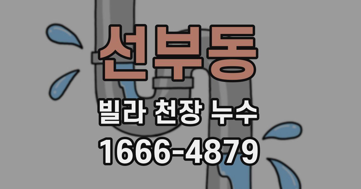 선부동 빌라 천장 누수