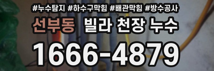 선부동 빌라 천장 누수