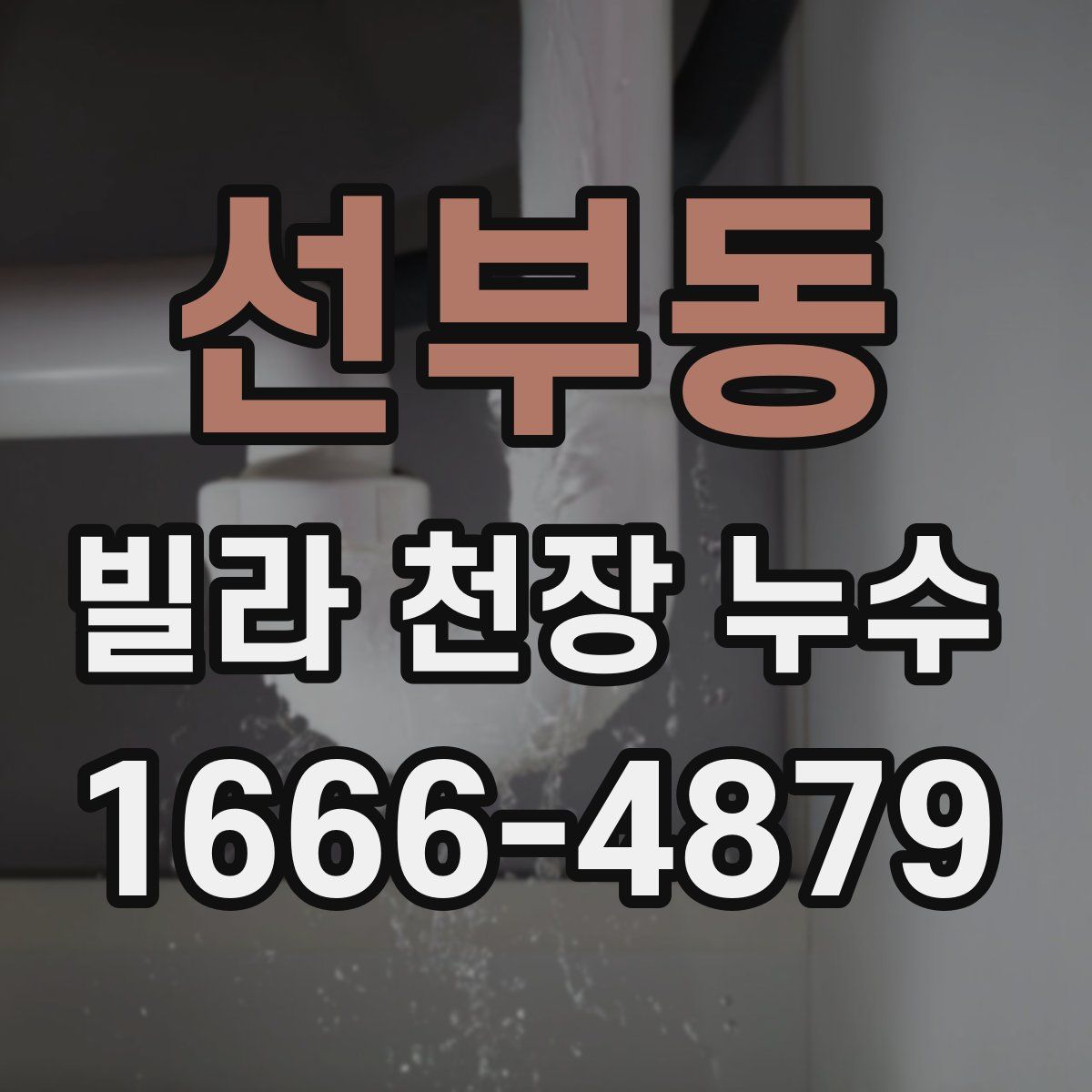 선부동 빌라 천장 누수